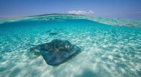 什么是離岸公司,離岸公司有什么優(yōu)缺點(diǎn)？